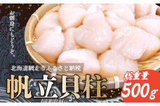 帆立貝柱 500g  お刺身OK！（網走産）【 ふるさと納税 人気 おすすめ ランキング 帆立 ホタテ ほたて 貝柱 帆立貝柱 急速冷凍 生食可 北海道 網走市 送料無料 】 ABB030