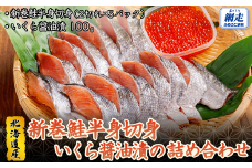 新巻鮭半身切身（2切れ×約5パック）＆いくら醤油漬の詰め合わせ 【 ふるさと納税 人気 おすすめ ランキング 新巻鮭 シャケ いくら醤油漬 イクラ 海の幸 おいしい 北海道 網走市 送料無料 】 ABB012