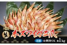 お刺身も出来る！生冷凍ズワイガニ爪 約1kg（北海道・ロシア・アメリカ産）【 ふるさと納税 人気 おすすめ ランキング 本ズワイガニ ズワイガニ ずわいがに かに カニ 蟹 ガニ ズワイ ずわい ずわい蟹 ズワイ蟹 1kg かにしゃぶ カニしゃぶ しゃぶしゃぶ かに鍋 生冷凍 冷凍 生食可 刺身 海鮮丼 爪 オホーツク 北海道 網走市 送料無料 】 ABB013