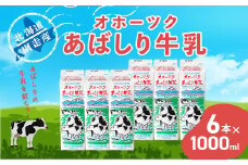 ＜網走産＞オホーツクあばしり牛乳【1000ml×6本】【 ふるさと納税 人気 おすすめ ランキング 乳飲料 牛乳 ミルク 乳製品 オホーツク あばしり牛乳 健康 栄養豊富 紙パック 冷蔵 北海道 網走市 送料無料 】 ABAJ001