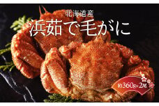 ＜北海道産＞浜茹で毛がに【360g×2尾】（網走加工） 【 ふるさと納税 人気 おすすめ ランキング 毛蟹 毛ガニ 毛がに 浜茹で まるごと かに味噌 北海道 網走市 送料無料 】 ABC015