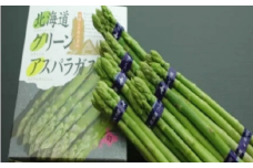 【先行予約】網走産 旬の朝もぎアスパラ2kg（2026年4月1日以降発送） 【 ふるさと納税 人気 おすすめ ランキング アスパラ アスパラガス グリーンアスパラ 2kg 産地直送 産直 網走産 旬 冷蔵 オホーツク 北海道 網走市 送料無料 】 ABAO2023