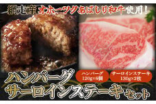＜網走産＞【オホーツクあばしり和牛】ハンバーグ・サーロインステーキセット 総重量980g 【ふるさと納税 人気 おすすめ ランキング ハンバーグ サーロイン ブランド和牛 ステーキ 北海道 網走市 送料無料】 ABW008