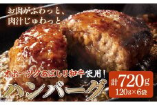 ＜網走産＞【オホーツクあばしり和牛】ハンバーグ・総重量 720g(120g×6個） 【 ふるさと納税 人気 おすすめ ランキング 牛ハンバーグ オホーツクあばしり和牛 和牛100% 北海道 網走市 送料無料 】 ABW001