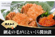 網走の毛がにといくら醤油漬（網走加工）【 ふるさと納税 人気 おすすめ ランキング 毛がに 毛ガニ カニ ガニ 蟹 かに味噌 カニ味噌 いくら いくら醤油漬 イクラ 醤油漬け 醤油漬 イクラ醤油 鮭イクラ 鮭いくら 鮭 サケ いくら丼 イクラ丼 ikura 海鮮丼 化粧箱 セット 海鮮セット 500g 海鮮丼 冷凍 新鮮 オホーツク 北海道 網走市 送料無料 】 ABB022