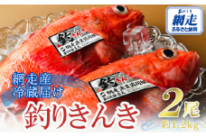 【冷蔵届け】網走産釣きんき【2尾で約1.2kg】【 ふるさと納税 人気 おすすめ ランキング きんき キンキ 釣りキンキ 釣りきんき 釣キンキ 釣きんき 喜知次 めんめ メンメ お祝い ギフト お歳暮 セット 冷蔵 海鮮 新鮮 オホーツク 北海道 網走市 送料無料 】 ABAO074