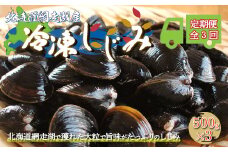 【定期便】全3回（毎月）＜網走湖産＞冷凍しじみ 500g×3 【 ふるさと納税 人気 おすすめ ランキング しじみ シジミ しじみ貝 蜆 貝 シジミ汁 冷凍 定期便 網走湖 北海道産 新鮮 オホーツク 北海道 網走市 送料無料 】 ABE011