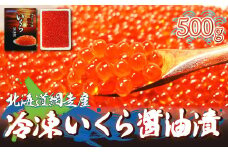 【12/30までお届け受付中】＜網走産＞冷凍いくら醤油漬 500g 【 ふるさと納税 人気 おすすめ ランキング いくら イクラ いくら醤油 イクラ醤油 醤油漬け 醤油漬 いくら醤油漬け イクラ醤油漬け 冷凍 鮭いくら イクラ丼 海鮮丼 冷凍 網走産 オホーツク 北海道 網走市 送料無料 】 ABE008