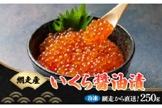 網走から直送！＜網走産＞いくら醤油漬 250g【 ふるさと納税 人気 おすすめ ランキング  いくら イクラ いくら醤油漬 イクラ醤油漬 醤油漬け 醤油漬 鮭いくら 鮭イクラ 鮭 鮭卵 醤油鮭いくら 醤油鮭イクラ さけ サケ 網走産 魚卵 魚介 新鮮 オホーツク 北海道 網走市 送料無料 】 ABB008
