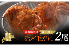 【先行予約】流氷海明け活〆毛がに2尾（冷蔵便）【2026年4月中旬～発送開始予定】（網走加工）【 ふるさと納税 人気 おすすめ ランキング 毛がに 毛ガニ 毛蟹 カニ ガニ 蟹 海鮮 新鮮 かに味噌 カニ味噌 浜茹で 冷蔵 流氷明け オホーツク 北海道 網走市 送料無料 】 ABAO2129