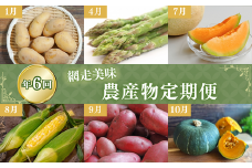 【定期便6回】網走美味農産物定期便「年6回お届け」（網走加工） 【 ふるさと納税 人気 おすすめ ランキング じゃがいも 男爵 メークイン アスパラ アスパラガス メロン 朱肉メロン とうもろこし トウモロコシ 北あかり レッドムーン 南瓜 かぼちゃ 野菜 定期便 オホーツク 北海道 網走市 送料無料 】 ABAO1026
