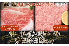 ＜網走産＞【オホーツクあばしり和牛】サーロインステーキ・すき焼き肉 総重量660g 【 ふるさと納税 人気 おすすめ ランキング ブランド和牛 サーロイン ステーキ 牛肉 すき焼き 北海道 網走市 送料無料 】 ABW019