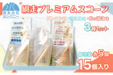 網走プレミアムスコーン3種セット　(プレーン・流氷塩味・北の醤油味）(オホーツク産/網走産/北海道産・網走加工) 【 ふるさと納税 人気 おすすめ ランキング 菓子 洋菓子 焼き菓子 スコーン オホーツク産 網走産 無添加 プレーン 流氷塩 北の醤油 北海道 網走市 送料無料 】 ABAM004