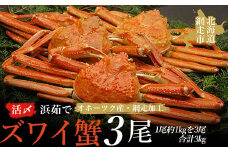 活〆茹でズワイ蟹3尾で約3kgセット(オホーツク海産・網走加工) 【 ふるさと納税 人気 おすすめ ランキング ズワイガニ ずわいがに ズワイ蟹 かに カニ 蟹 ガニ ズワイ ずわい 浜茹で 3尾 網走産 冷凍 海鮮 オホーツク 北海道 網走市 送料無料 】 ABAO2158