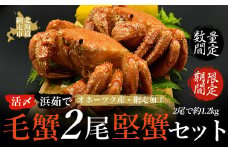 【期間限定・数量限定】美味活〆浜茹 で毛蟹2尾「堅蟹」セット(オホーツク海産・網走加工) 【 ふるさと納税 人気 おすすめ ランキング 毛がに 毛ガニ 毛蟹 カニ ガニ 蟹 堅蟹 海鮮 新鮮 かに味噌 カニ味噌 浜茹で 2尾 オホーツク 北海道 網走市 送料無料 】 ABAO2160