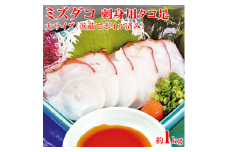 刺身用タコ足 1足1kg＜網走加工＞ 【 ふるさと納税 人気 おすすめ ランキング オホーツク産 タコ ミズダコ タコ足 北海道 網走市 送料無料 】 ABX002