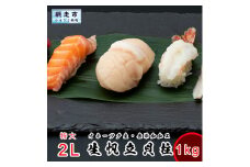 LLサイズ 刺身用帆立貝柱 1kg＜網走加工＞ 1粒約60g 【 ふるさと納税 人気 おすすめ ランキング ほたて ホタテ 帆立 貝柱 魚介 魚介類 オホーツク産 新鮮 刺身 バター焼き 大粒 北海道 網走市 送料無料 】 ABX006