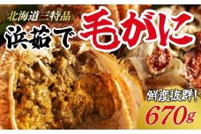 【網走産】鮮度抜群！三特浜茹で毛がに 約670g×1尾 【 ふるさと納税 人気 おすすめ ランキング 毛がに 毛ガニ 茹で毛がに 網走産 濃厚 かに味噌 北海道 網走市 送料無料 】 ABW004