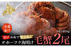 【先行予約】オホーツク海明け活〆浜茹で毛蟹2尾冷蔵届け（オホーツク海産・網走加工）（2026年4月15日以降発送）【 ふるさと納税 人気 おすすめ ランキング 毛がに 毛ガニ 毛蟹 カニ ガニ 蟹 海鮮 新鮮 かに味噌 カニ味噌 浜茹で 冷蔵 1kg オホーツク 北海道 網走市 送料無料 】 ABAO2180