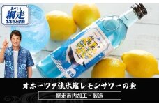 オホーツク流氷塩レモンサワーの素　12本入り（網走市内加工・製造）【 ふるさと納税 人気 おすすめ ランキング レモンサワー 素 お酒 流氷 オホーツク BBQ 宅飲み 家飲み 晩酌 家計応援 消費応援品 ご当地 プレゼント お中元 お歳暮 ギフト 贈答 北海道 網走市 送料無料 】 ABH007