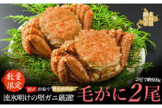 【数量限定】＜網走前浜産＞【流氷明けの堅ガニ厳選！】活〆浜茹で毛がに 【2尾 計900g】【 ふるさと納税 人気 おすすめ ランキング かに カニ 蟹 毛ガニ 毛がに 毛蟹 堅ガニ 流氷明け 浜茹で 2尾 海鮮 新鮮 冷凍 オホーツク 北海道 網走市 送料無料 】 ABAI008