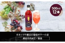 オホーツク網走山葡萄サワーの素　500ml×12本入り（網走市加工・製造）【 ふるさと納税 人気 おすすめ ランキング  ぶどうサワー 葡萄サワー ブドウサワー 素 お酒 流氷 オホーツク BBQ 宅飲み 家飲み 晩酌 家計応援 消費応援品 ご当地 プレゼント お中元 お歳暮 ギフト 贈答 北海道 網走市 送料無料 】 ABH051