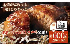 ＜網走産＞【3ヶ月定期便】【オホーツクあばしり和牛】ハンバーグ・総重量 600g（120g×5個）×3ヶ月 【 ふるさと納税 人気 おすすめ ランキング 牛ハンバーグ オホーツクあばしり和牛 和牛100% 北海道 網走市 送料無料 】 ABW015