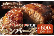 ＜網走産＞【オホーツクあばしり和牛】ハンバーグ・総重量 600g（120g×5個） 【 ふるさと納税 人気 おすすめ ランキング 牛ハンバーグ オホーツクあばしり和牛 和牛100% 北海道 網走市 送料無料 】 ABW016