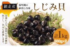 網走産 藻琴湖の砂出し冷凍しじみ貝（500g×2 計1kg） 【 ふるさと納税 人気 おすすめ ランキング しじみ シジミ 蜆 網走湖 大粒 冷凍 うまみ 北海道 網走市 送料無料 】 ABD002
