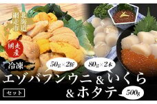 【先行予約】冷凍エゾバフンウニ50g×2折＋いくら80g×2本＋ホタテ500gセット（網走市産）（2025年5月15日以降発送）【 ふるさと納税 人気 おすすめ ランキング うに ウニ 雲丹 エゾバフンウニ 2折 うに丼 いくら醤油漬 イクラ醤油漬 いくら醤油 鮭 鮭卵 いくら 帆立 ほたて ホタテ 帆立貝柱 ほたて貝柱 貝柱 生産者支援 オホーツク 北海道 網走市 送料無料 】 ABAO2005