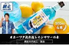 オホーツク流氷塩レモンサワーの素　500ml×4本入り（網走市内加工・製造）【 ふるさと納税 人気 おすすめ ランキング  レモンサワー 素 お酒 流氷 オホーツク BBQ 宅飲み 家飲み 晩酌 家計応援 消費応援品 ご当地 プレゼント お中元 お歳暮 ギフト 贈答 北海道 網走市 送料無料 】 ABH011