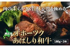 ＜網走産＞オホーツクあばしり和牛 【 ふるさと納税 人気 おすすめ ランキング オホーツクあばしり和牛 ブランド和牛 限定生産 希少 北海道 網走市 送料無料 】 ABM007