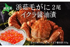 厳選 浜茹毛がに2尾イクラ醤油漬（網走産） 【 ふるさと納税 人気 おすすめ ランキング 毛がに いくら醤油漬 鮭いくら セット おいしい 北海道 網走市 送料無料 】 ABC001