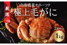 北海道産オホーツク極上毛がに（冷凍） 2尾セット（合計約1kg） 【 ふるさと納税 人気 おすすめ ランキング 毛がに 毛ガニ カニ かに 極上 かに味噌 おいしい 北海道 網走市 送料無料 】 ABC002