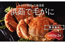 【数量限定】北海道産 毛ガニ 浜茹で毛ガニ【約800g×2尾セット】 【 ふるさと納税 人気 おすすめ ランキング 毛蟹 毛ガニ 毛がに かに味噌 カニみそ 浜茹で 北海道 網走市 送料無料 】 ABC029
