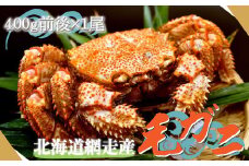 北海道網走産毛ガニ（400g前後×1尾） 【 ふるさと納税 人気 おすすめ ランキング 毛がに 毛ガニ かに 蟹 網走産 濃厚 かに味噌 みそ 海鮮 新鮮 オホーツク 北海道 網走市 送料無料 】 ABE081