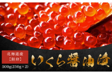 北海道産【鮭卵】 いくら醤油漬 500g(250g×2）【 ふるさと納税 人気 おすすめ ランキング イクラ 醤油漬け いくら醤油漬 イクラ醤油漬 いくら醤油漬け イクラ醤油漬け 鮭いくら 鮭イクラ 鮭 鮭卵 いくら 醤油鮭いくら 醤油鮭イクラ さけ サケ 鮭 醤油漬 500g 海鮮 新鮮 小分け 北海道 網走市 送料無料 】 ABW103