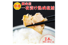 鮭 特選 甘塩熟成塩鮭【2.8kg】＜網走産＞ ※着日指定不可 【 ふるさと納税 人気 おすすめ ランキング シャケ 鮭 さけ 焼き 焼き鮭 焼きシャケ 焼きさけ おかず 北海道 網走市 送料無料 】ABX037
