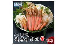 カット済み生本ずわい蟹 内容量1kg＜網走加工＞ ※着日指定不可 【 ふるさと納税 人気 おすすめ ランキング かに カニ ずわいがに ズワイガニ ずわい蟹 ポーション ロシア産 新鮮 冷凍 生 贅沢 鍋 北海道 網走市 送料無料 】 ABX045