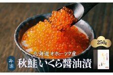 冷凍 秋鮭 いくら 醤油漬 250g ※着日指定不可 ※離島への配送不可 【 ふるさと納税 人気 おすすめ ランキング いくら イクラ 醤油漬 醤油漬け いくら醤油 いくら醤油漬け イクラ醤油漬け 鮭いくら 鮭イクラ いくら丼 イクラ丼 海鮮丼 寿司 250g 冷凍 オホーツク 北海道 網走市 送料無料 】 ABAE1006