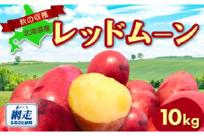 【先行予約】秋の収穫美味レッドムーンじゃがいも 10kg（2025年9月15日以降発送） 【 ふるさと納税 人気 おすすめ ランキング じゃがいも いも イモ 芋 レッドムーン 10kg 野菜 オホーツク 北海道 網走市 送料無料 】 ABAO071
