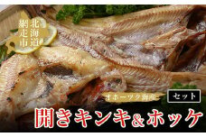 オホーツク海産開きキンキ＆ホッケ セット 北海道 網走市 魚介 ※着日指定不可 ※離島への配送不可 【 ふるさと納税 人気 おすすめ ランキング きんき キンキ ホッケ ほっけ 一夜干し 開き 喜知次 お祝い ギフト お歳暮 セット 冷凍 海鮮 新鮮  オホーツク 北海道 網走市 送料無料 】 ABAO069