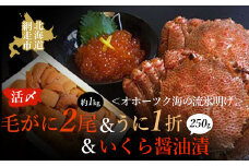 うに 北海道 海産物 ＜オホーツク海の流氷明け＞活〆毛がに2尾（合計約1kg）＆いくら醤油漬（250g）＆うに（1折）セット（網走加工）【 ふるさと納税 人気 おすすめ ランキング 毛がに 毛ガニ 毛蟹 カニ ガニ 蟹 いくら いくら醤油漬 いくら醤油 イクラ醤油 サケ 鮭 魚卵 うに ウニ 雲丹 エゾバフンウニ 1折 セット 冷凍 新鮮 オホーツク 北海道 網走市 送料無料 】 ABAO029