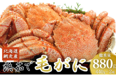 ＜網走産＞三特茹で毛がに 約440g×2尾 【 ふるさと納税 人気 おすすめ ランキング 蟹 かに カニ 毛がに 毛蟹 毛ガニ 毛ガニ北海道 はまゆで 毛ガニ浜ゆで 浜茹で毛蟹 浜茹で ギフト 贈答 お中元 お歳暮 かに味噌 冷凍 新鮮 海鮮 魚介 産地直送 魚介類 国産 オホーツク 北海道 網走市 送料無料 】 ABW030