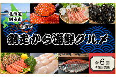 【定期便】<奇数月に発送>網走から海鮮グルメ ほたて、いくら、ズワイガニ等 全6回 【 ふるさと納税 人気 おすすめ ランキング ほたて ホタテ 帆立 貝柱 帆立貝柱 ほたて貝柱 帆立刺身 ほたて刺身 いくら イクラ いくら醤油漬け かに カニ ズワイガニ タラバガニ しじみ シジミ 蜆 鮭 さけ 切身 定期便 オホーツク 北海道 網走市 送料無料 】 ABAO076
