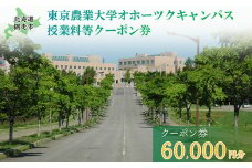 東京農業大学オホーツクキャンパス授業料等60,000円分クーポン券 【 ふるさと納税 人気 おすすめ ランキング 授業料等 大学 東京農業大学 東農大 東京農業 オホーツク キャンパス クーポン 券 学生 北海道 網走市 】 ABBD002