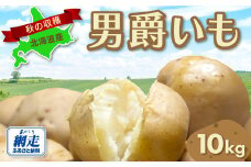 【先行予約】秋の収穫男爵いも 約10kg詰め（2025年9月15日以降発送）  【 ふるさと納税 人気 おすすめ ランキング じゃがいも ジャガイモ 芋 いも イモ 男爵 男爵いも 野菜 セット 詰め合わせ 詰合せ 北海道 網走市 送料無料 】 ABAO081