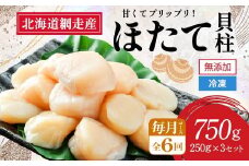 【新物先行予約 全6回（毎月）】網走前浜産 無添加ホタテ貝柱750g（250g×3袋）（2025年10月より順次発送） 【 ホタテ ほたて 帆立 貝柱 ホタテ貝柱 ほたて貝柱 帆立貝柱 刺身 ホタテ刺身 刺身ホタテ ほたて刺身 刺身ほたて 帆立刺身 北海道 国産 北海道産 魚介 魚介類 海鮮 小分け 天然 定期便 送料無料 人気 ランキング おすすめ 】ABAI035