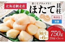 【新物先行予約 全6回（隔月）】網走前浜産 無添加ホタテ貝柱750g（250g×3袋）（2025年10月より順次発送） 【 ホタテ ほたて 帆立 貝柱 ホタテ貝柱 ほたて貝柱 帆立貝柱 刺身 ホタテ刺身 刺身ホタテ ほたて刺身 刺身ほたて 帆立刺身 北海道 国産 北海道産 魚介 魚介類 海鮮 小分け 天然 定期便 送料無料 人気 ランキング おすすめ 】ABAI036