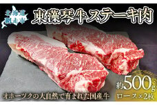 【数量限定】東藻琴牛ステーキ肉【 ふるさと納税 人気 おすすめ ランキング 牛肉 ビーフ 東藻琴牛 国産牛 ひがしもこと牛 ステーキ ステーキ肉 北海道 網走市 送料無料 】 ABM1002